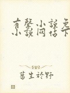 有声小说免费听小说网站下载封面