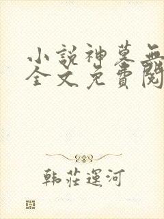 小说神墓无弹窗全文免费阅读