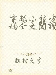 穿越小说傻王夺嫡全文阅读