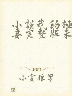 小说我的极品娇妻完整版未删减小说