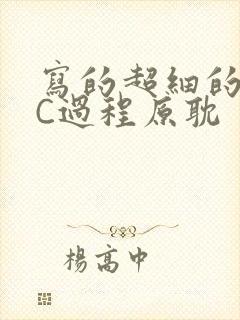 写的超细的多肉C过程原耽