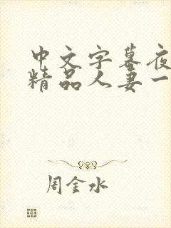 中文字幕夜夜嗨精品人妻一区二区封面