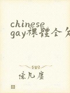 chinesegay裸体全欠