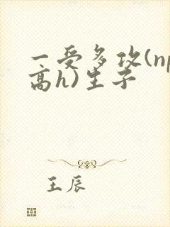 一受多攻(np高h)生子