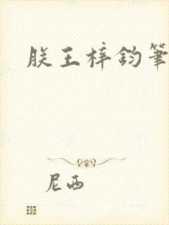 朕王梓钧笔趣阁