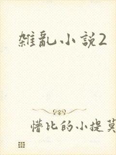 杂乱小说2