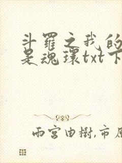 斗罗之我的武魂是魂环txt下载