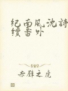 纪南风沈诗澜后续番外
