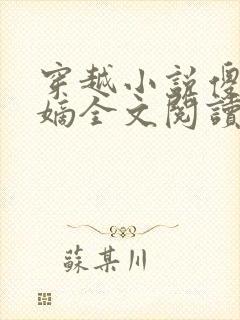 穿越小说傻王夺嫡全文阅读