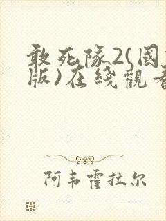 敢死队2(国语版)在线观看封面