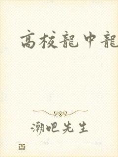 高校龙中龙封面
