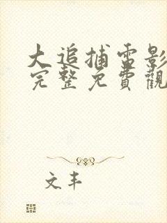 大追捕电影在线完整免费观看国语