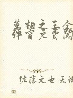 万相之王全文无弹窗免费阅读封面