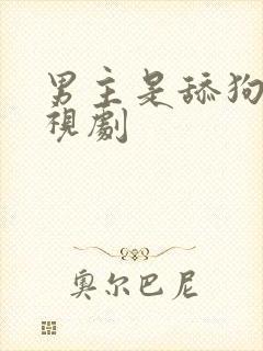 男主是舔狗的电视剧