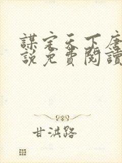 谋定天下唐诚小说免费阅读