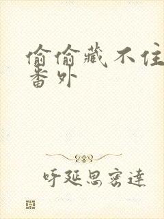 偷偷藏不住新婚番外