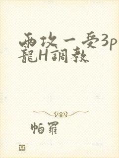 两攻一受3p双龙H调教