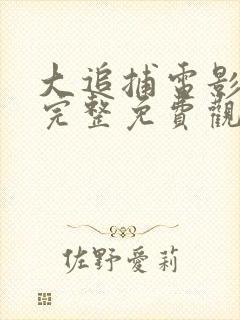 大追捕电影在线完整免费观看封面