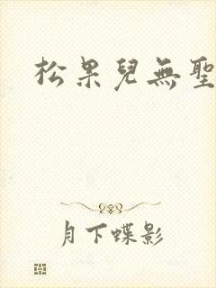 松果儿无圣光封面