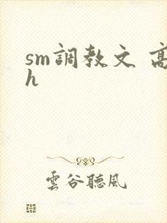 sm调教文 高h