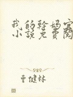 我的干妈官夫人小说免费阅读