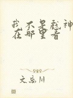 我不是戏神小说在哪里看封面