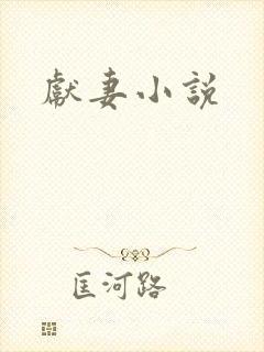 献妻小说封面