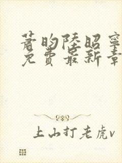 萧昀陆昭宁全文免费最新章节阅读