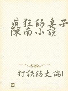 疯狂的妻子林瑶陈南小说