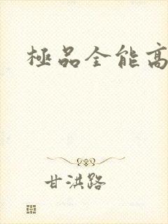 极品全能高手