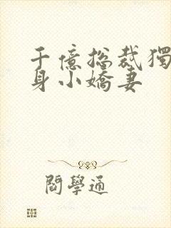 千亿总裁独宠替身小娇妻