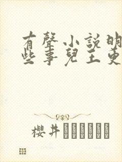 有声小说明朝那些事儿王更新