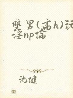 双男(高h)玩淫np伦