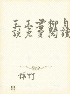 王正君柳月瑶小说免费阅读最新章节