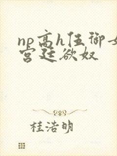 np高h伍御女宫廷欲奴