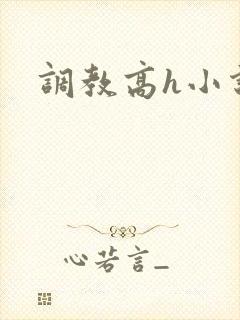 调教高h小说封面