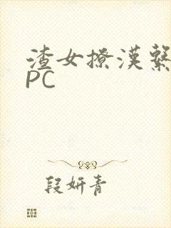 渣女撩汉系统NPC