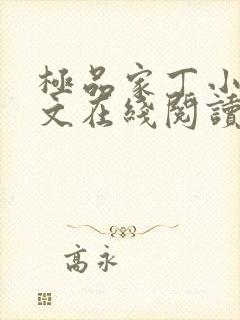 极品家丁小说全文在线阅读封面