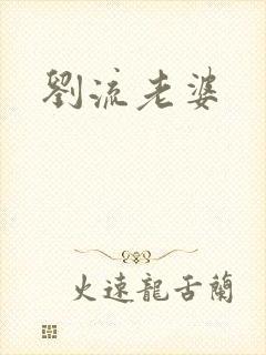 刘流老婆封面