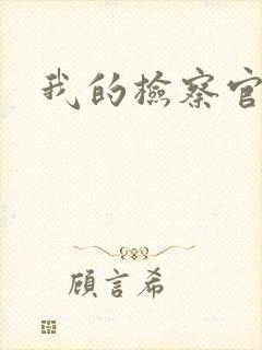 我的检察官先生