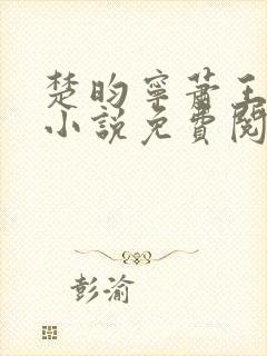 楚昀宁萧王穿越小说免费阅读无弹窗