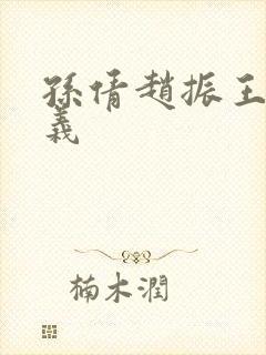 孙倩赵振王申高义封面