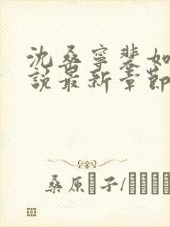 沈桑宁裴如衍小说最新章节封面