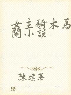 女主骑木马笔趣阁小说封面