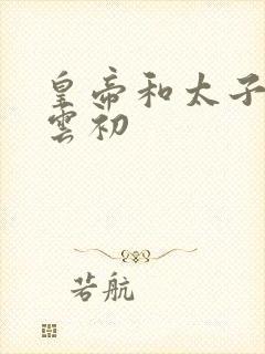 皇帝和太子妃h云初