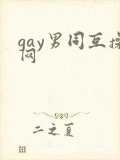 gay男同互操网