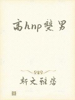 高hnp双男