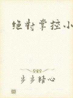 绝对掌控小说