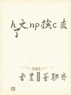 h文np挨c爽了