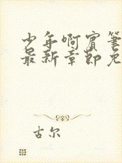 少年啊宾笔趣阁最新章节免费阅读